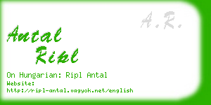antal ripl business card